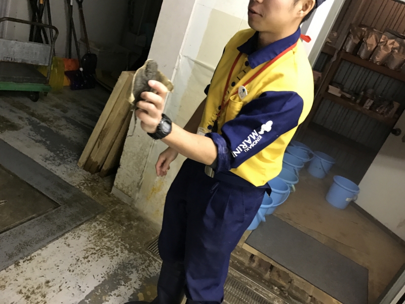 f:id:camelstation:20170221085046j:plain