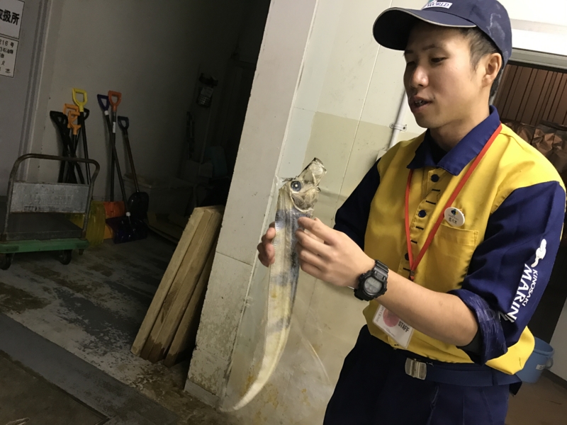 f:id:camelstation:20170221085053j:plain