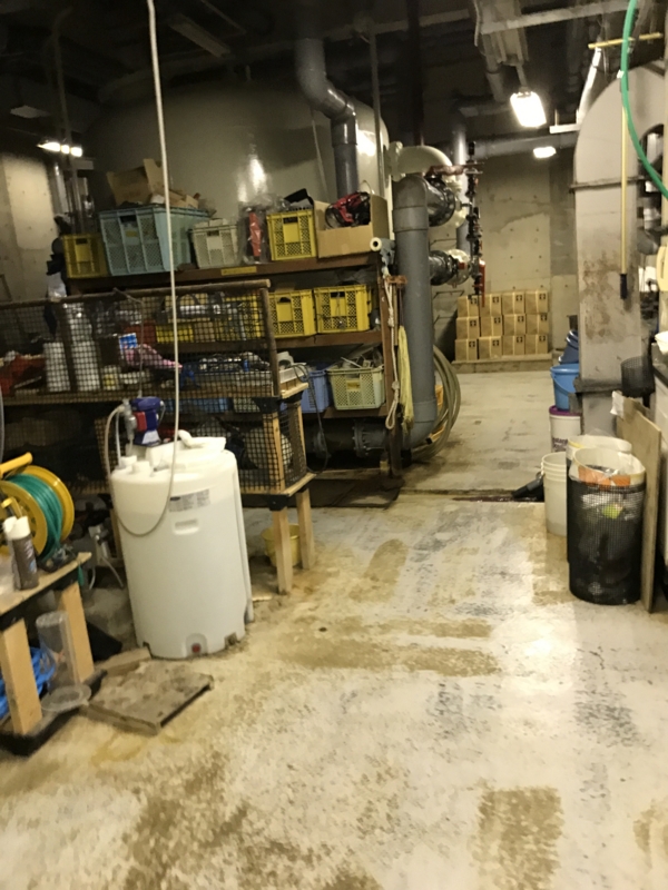 f:id:camelstation:20170221085058j:plain