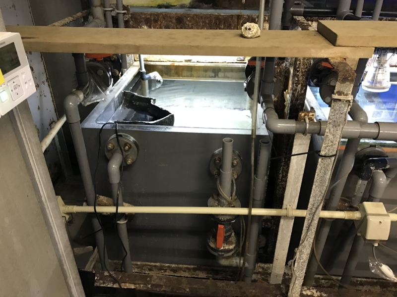 f:id:camelstation:20170221085105j:plain