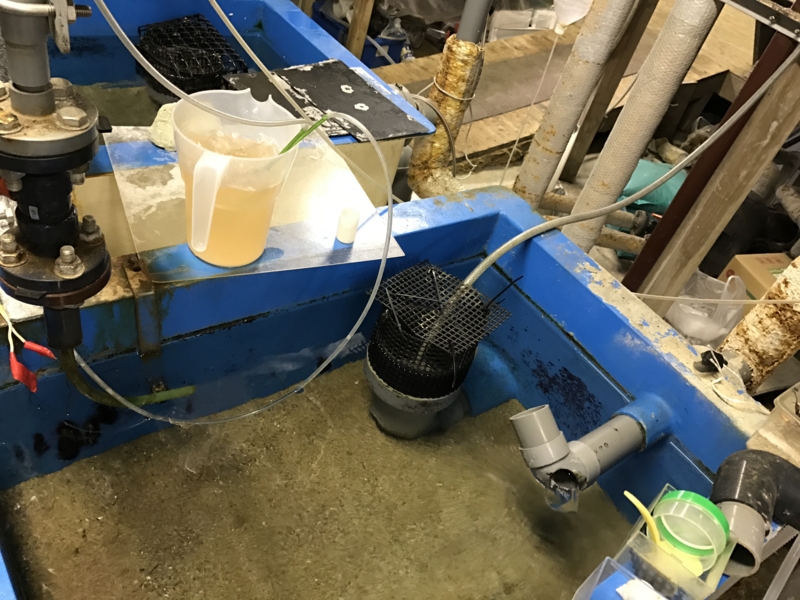 f:id:camelstation:20170221085108j:plain