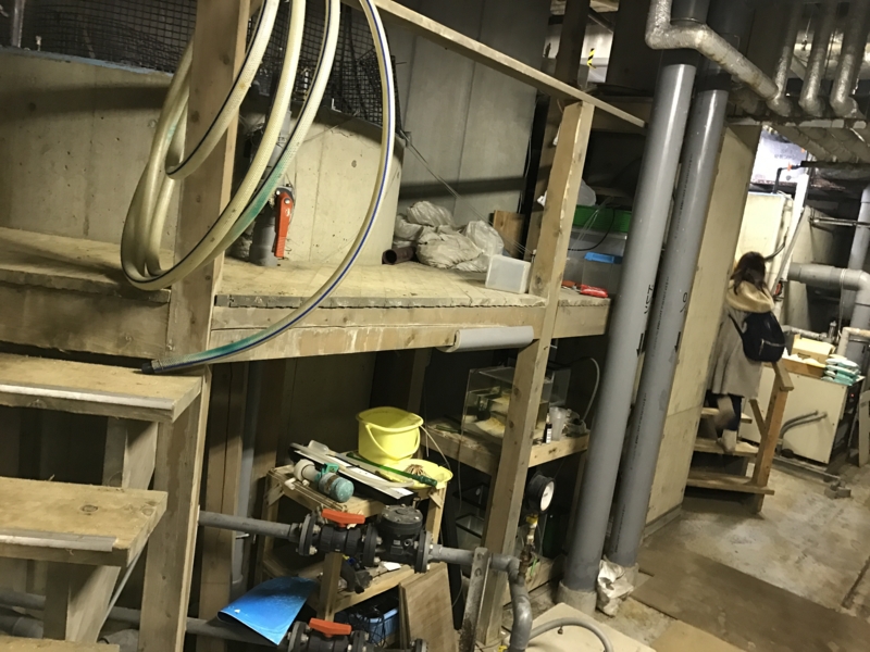 f:id:camelstation:20170221085110j:plain