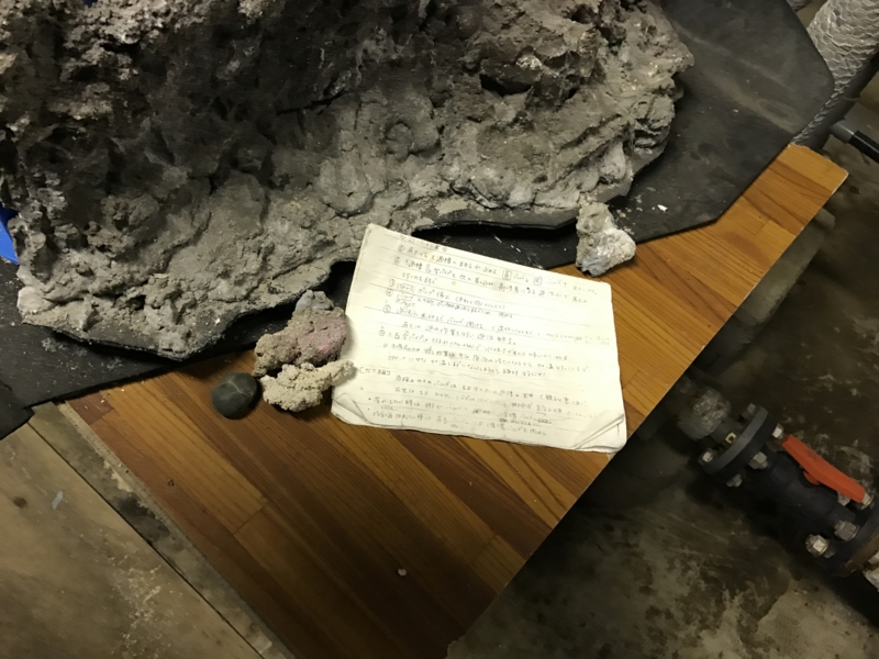 f:id:camelstation:20170221085112j:plain