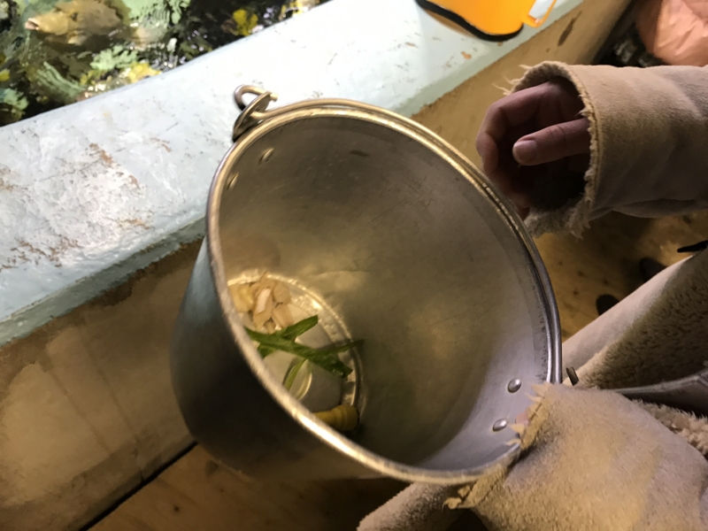 f:id:camelstation:20170221085117j:plain