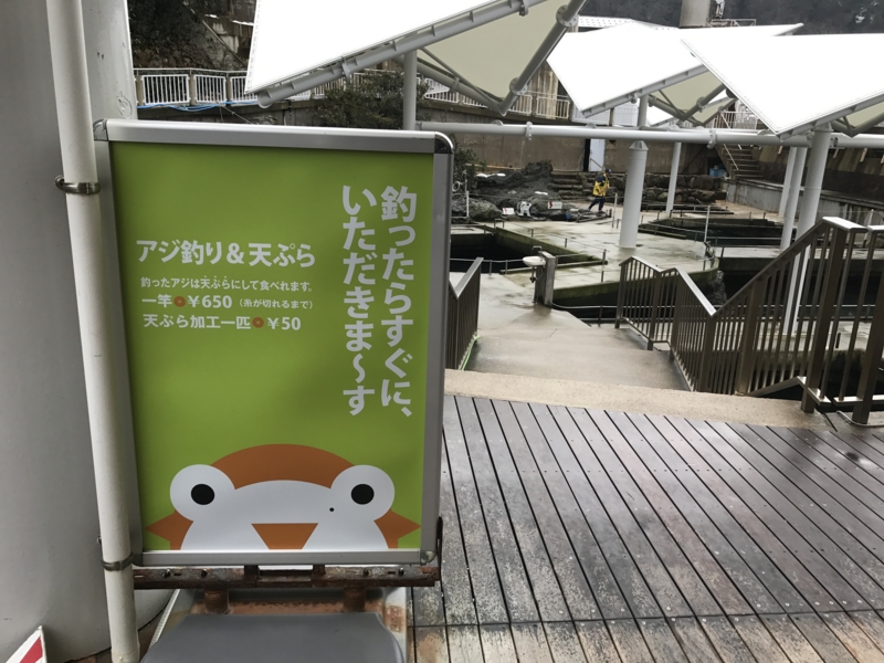 f:id:camelstation:20170221085127j:plain