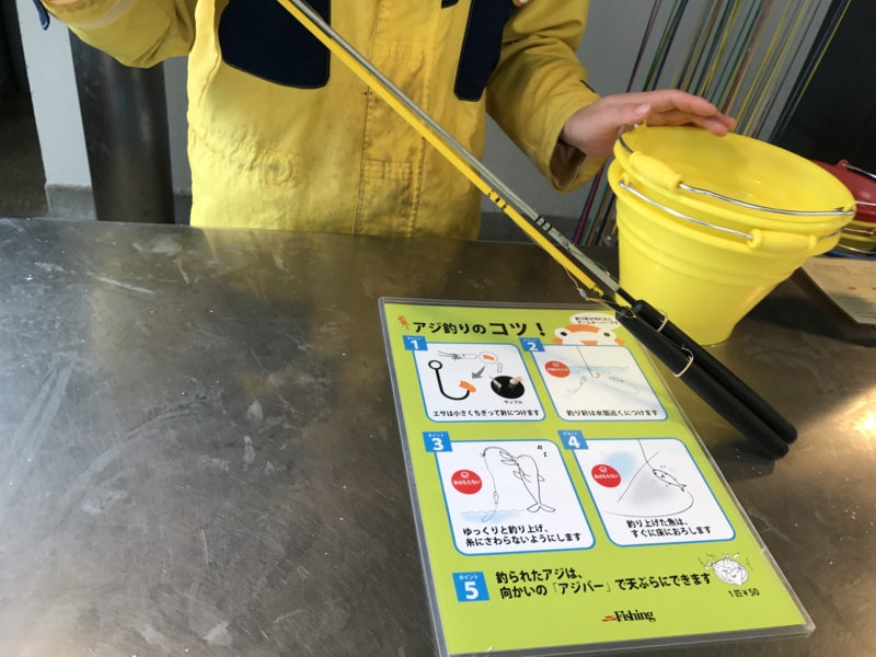 f:id:camelstation:20170221085128j:plain