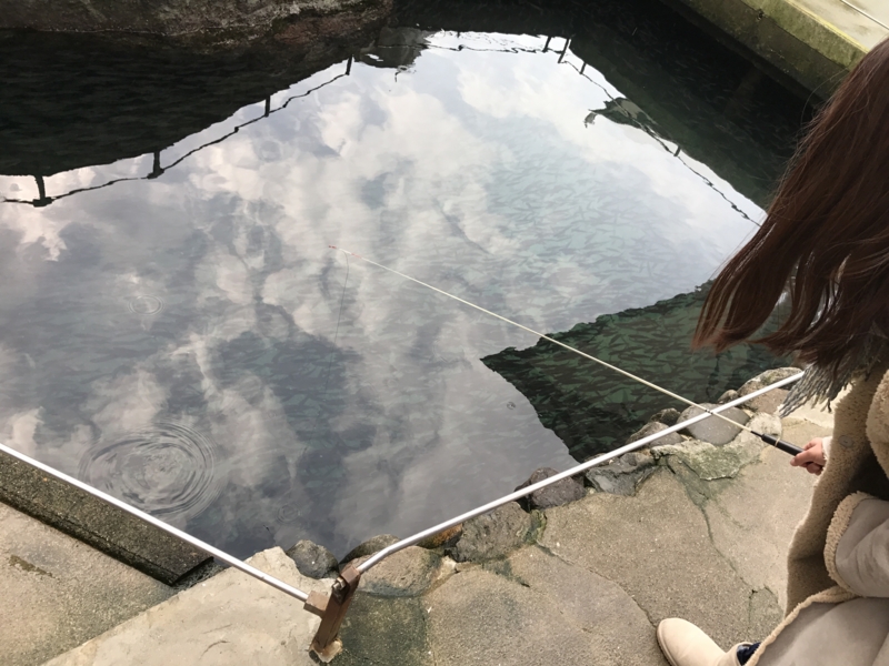 f:id:camelstation:20170221085130j:plain