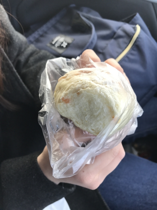 f:id:camelstation:20170225002824j:plain