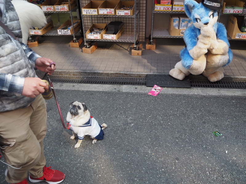 f:id:camelstation:20170320222714j:plain f:id:camelstation:20170320222714j:plain