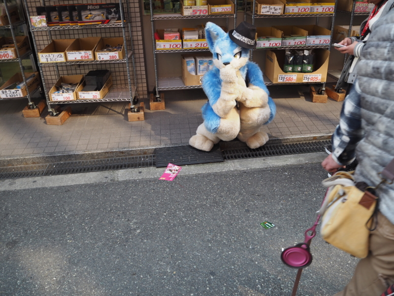 f:id:camelstation:20170320222715j:plain f:id:camelstation:20170320222715j:plain