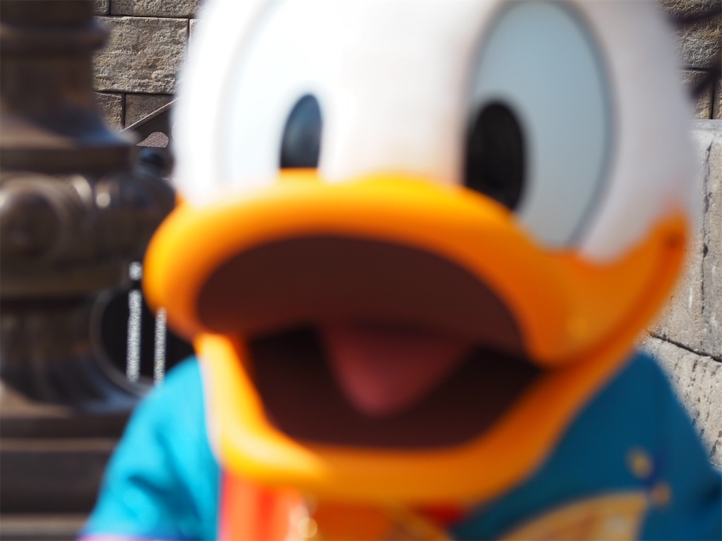 f:id:camelstation:20170418083145j:image