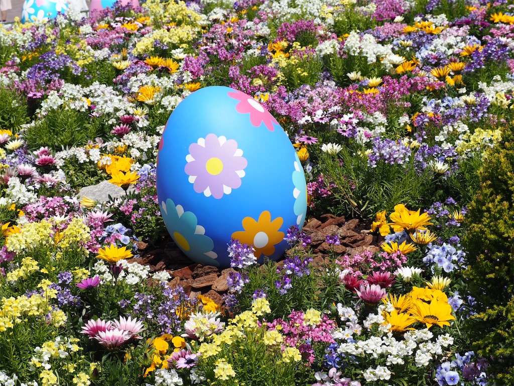 f:id:camelstation:20170418094913j:image