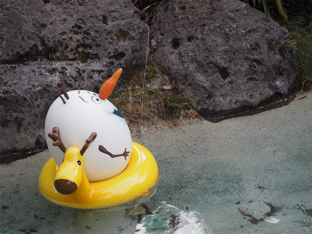 f:id:camelstation:20170418095040j:image