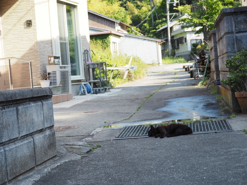 f:id:camelstation:20170602103606j:plain