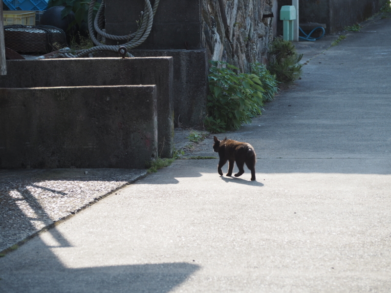 f:id:camelstation:20170602103617j:plain