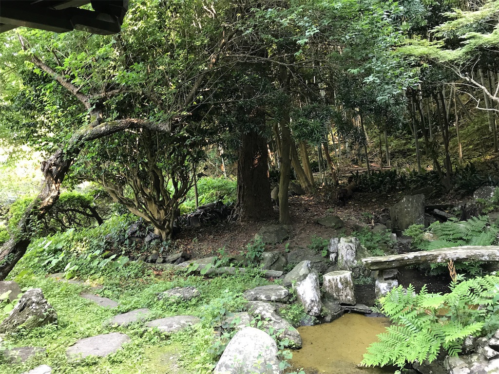 f:id:camelstation:20170602112702j:image