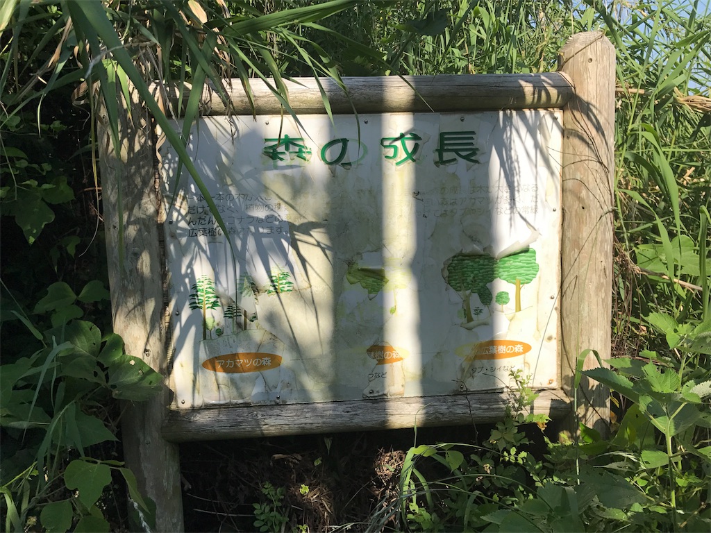 f:id:camelstation:20170602112859j:image