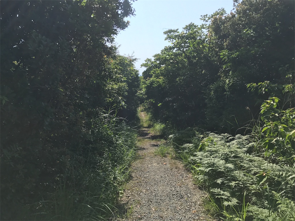 f:id:camelstation:20170602112957j:image