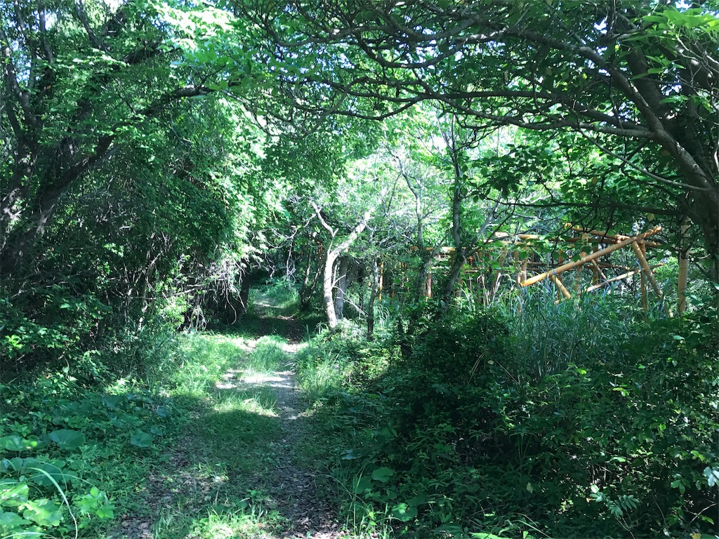 f:id:camelstation:20170602113028j:image