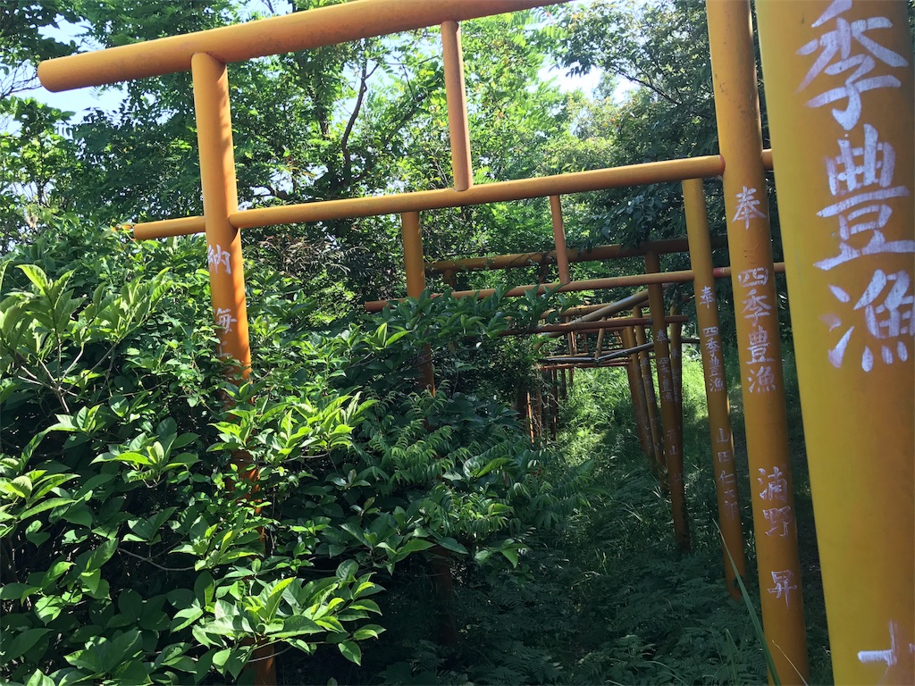 f:id:camelstation:20170602113048j:image