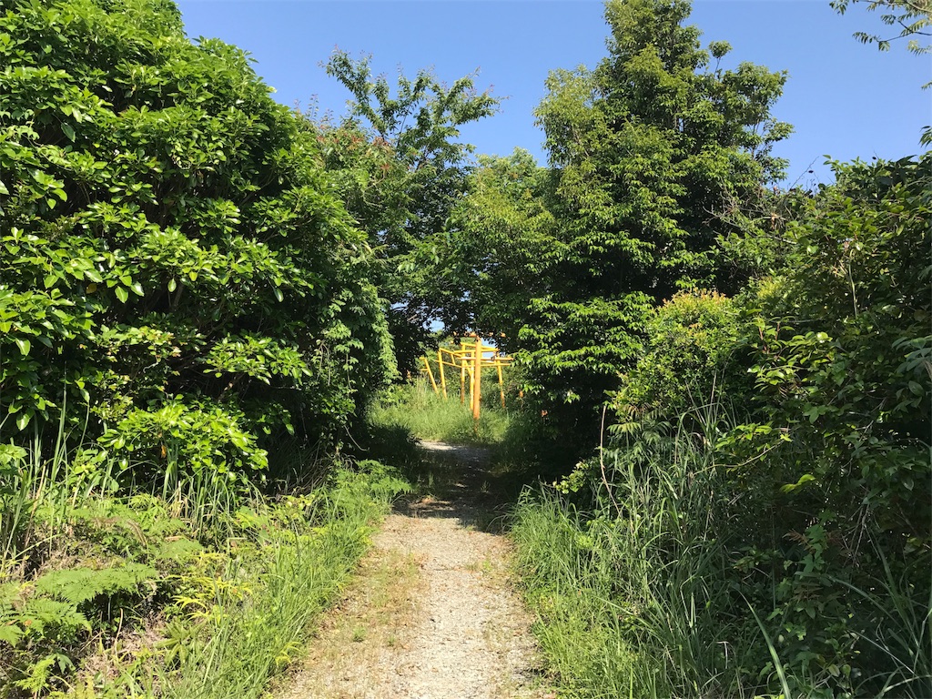 f:id:camelstation:20170602113105j:image