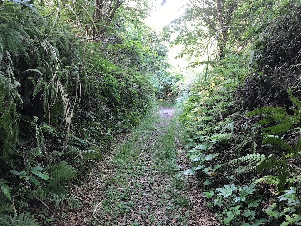 f:id:camelstation:20170602113156j:image