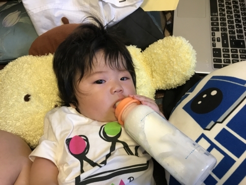 f:id:camelstation:20170920112810j:plain