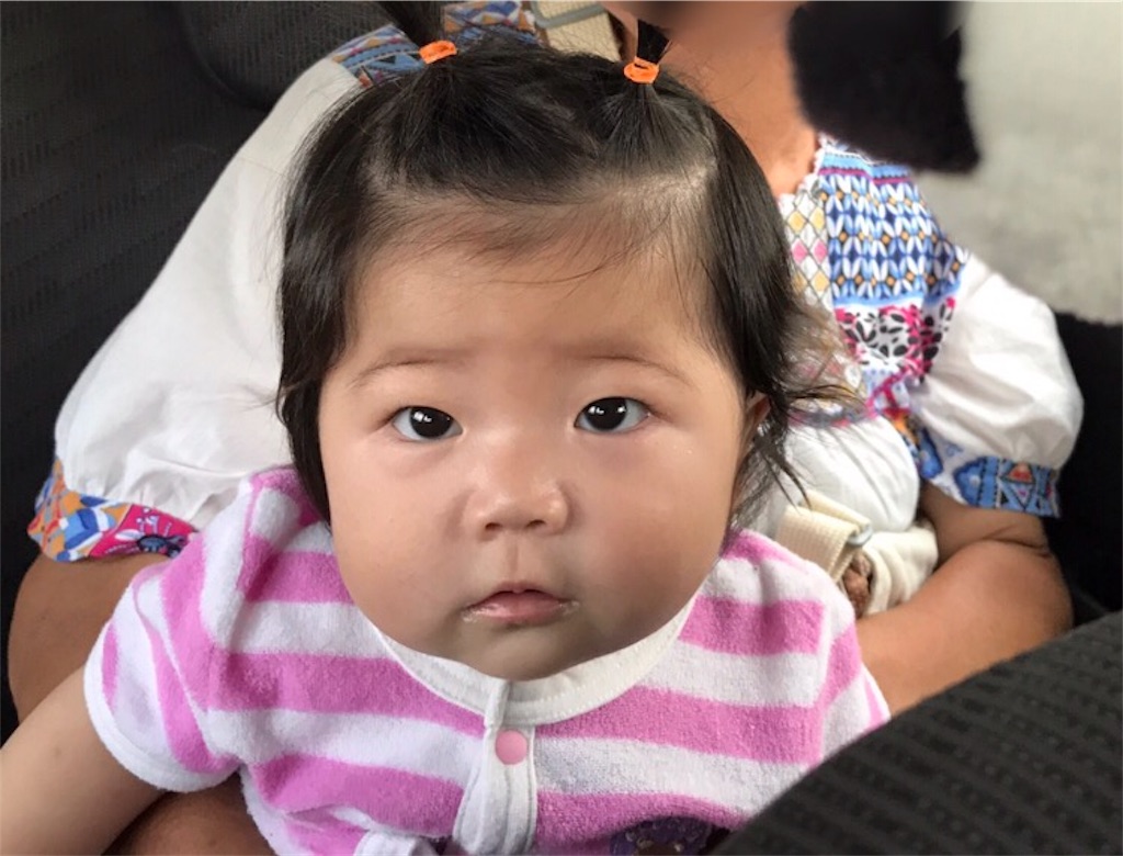 f:id:camelstation:20170920124704j:plain