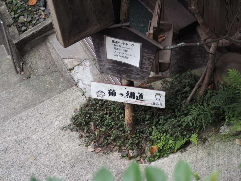 f:id:camelstation:20171008194625j:plain