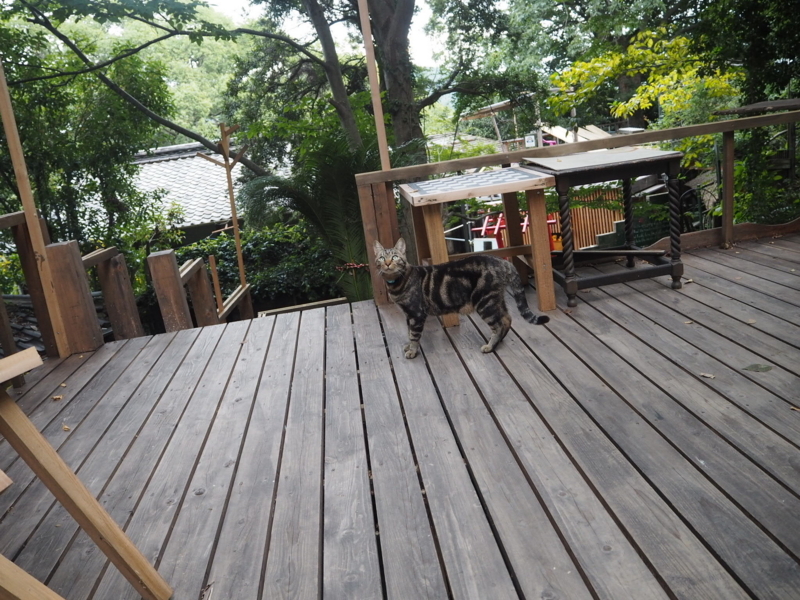 f:id:camelstation:20171008194651j:plain