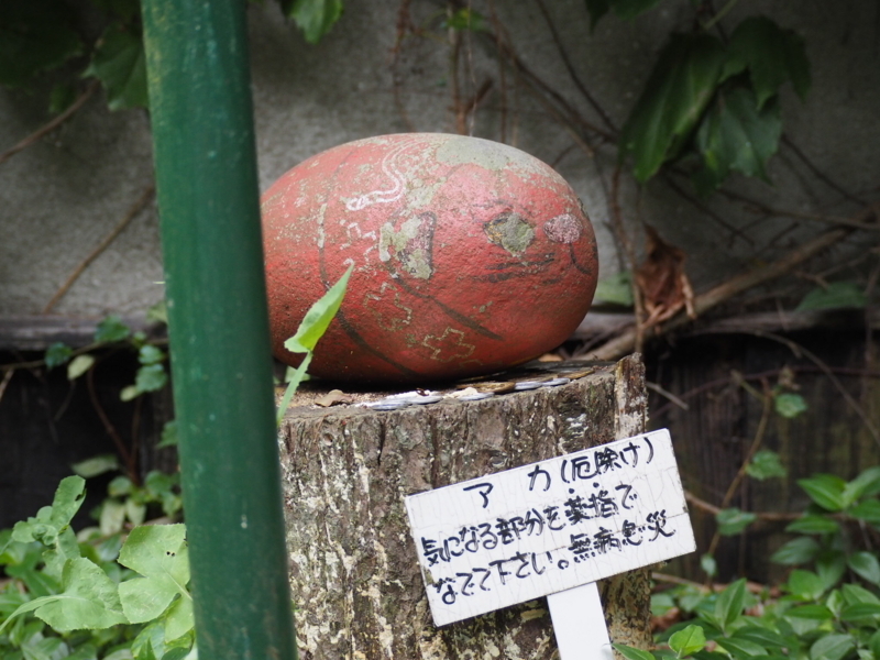 f:id:camelstation:20171008194706j:plain