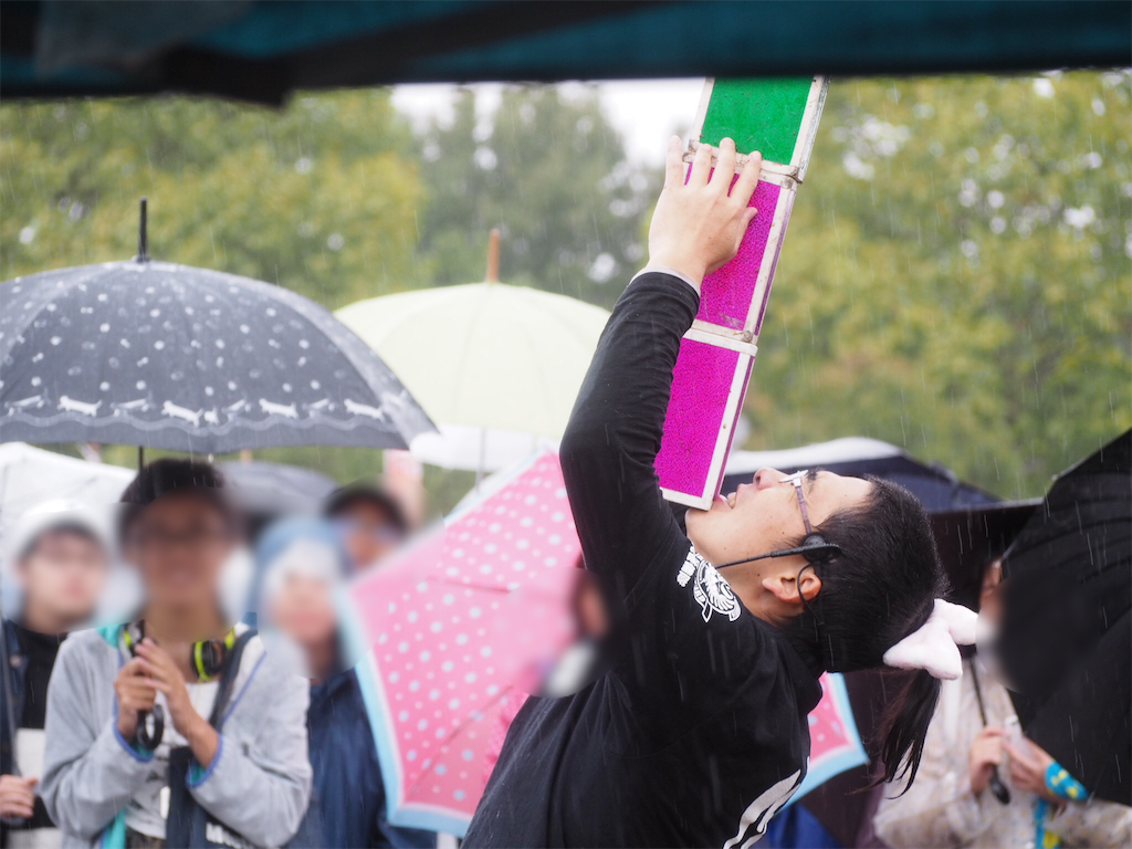 f:id:camelstation:20171111112843p:plain