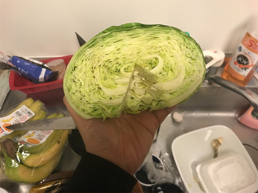 f:id:camelstation:20180115230610j:plain