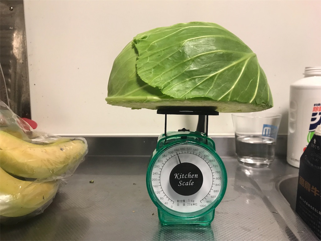 f:id:camelstation:20180115230614j:plain