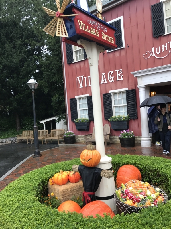 f:id:camelstation:20180129223857j:plain