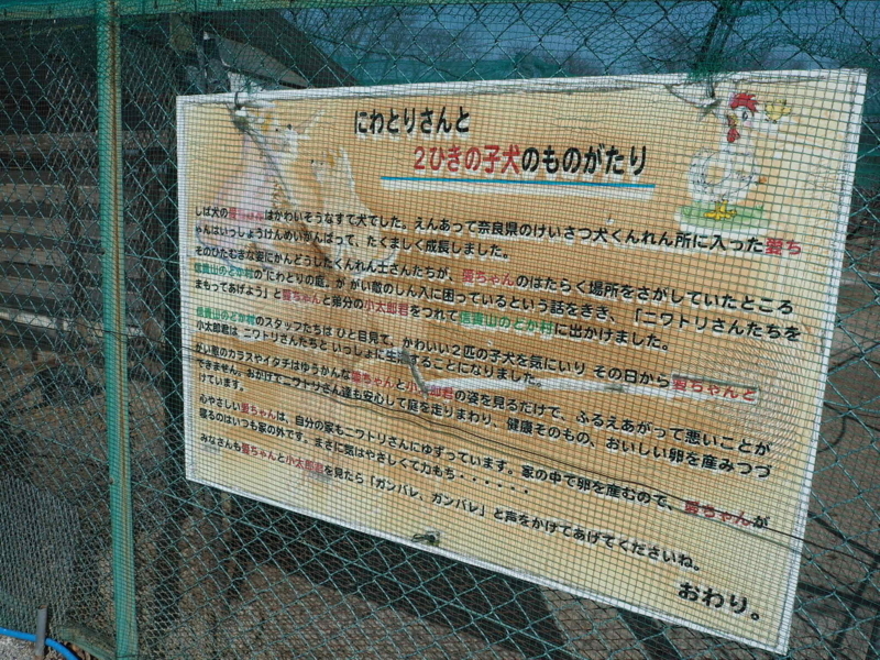 f:id:camelstation:20180219004837j:plain f:id:camelstation:20180219004837j:plain