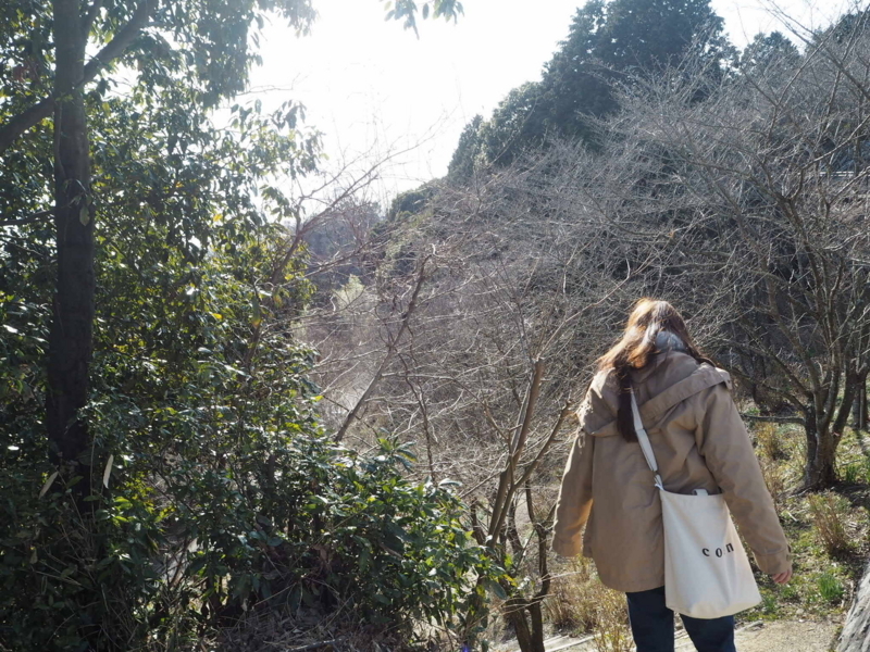 f:id:camelstation:20180219005055j:plain f:id:camelstation:20180219005055j:plain