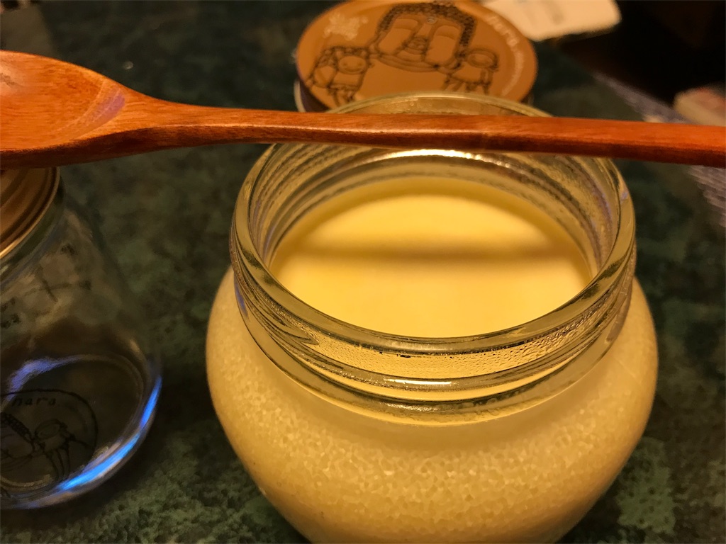 f:id:camelstation:20180219035438j:plain