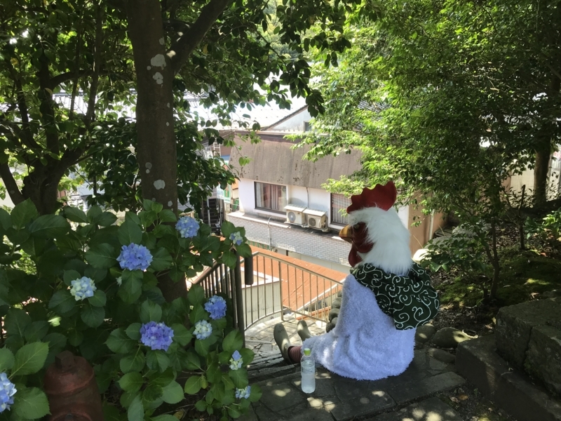 f:id:camelstation:20180620023842j:plain