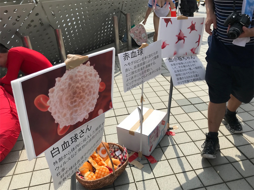 f:id:camelstation:20180813081517j:plain