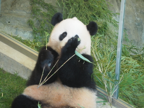 f:id:camelstation:20181007222525j:plain f:id:camelstation:20181007222525j:plain