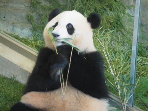 f:id:camelstation:20181007222527j:plain f:id:camelstation:20181007222527j:plain