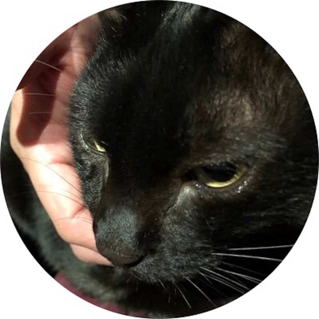 f:id:camelstation:20181103044043j:plain