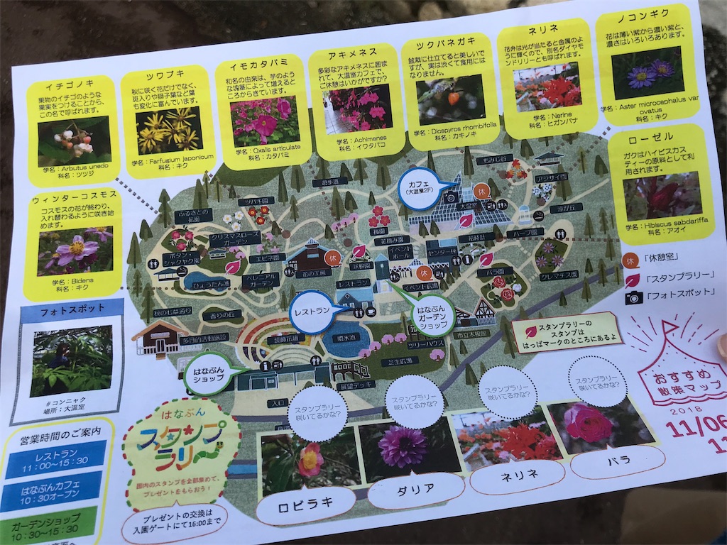 f:id:camelstation:20181124184731j:plain