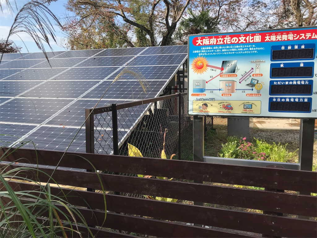 f:id:camelstation:20181124184745j:plain