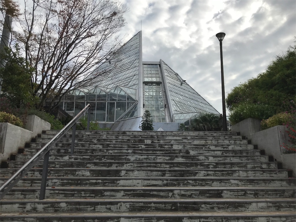 f:id:camelstation:20181124185112j:plain