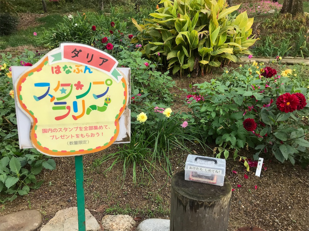 f:id:camelstation:20181124185228j:plain