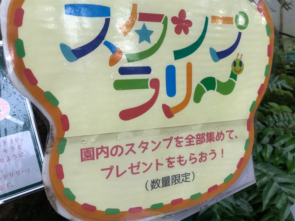 f:id:camelstation:20181124185257j:plain