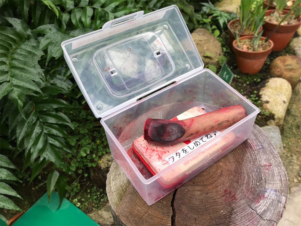 f:id:camelstation:20181124185356j:plain