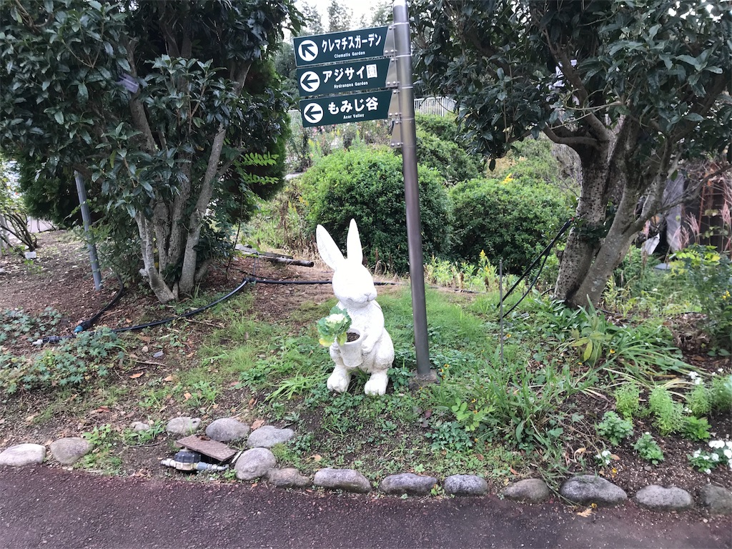 f:id:camelstation:20181124185452j:plain